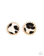 Load image into Gallery viewer, A Glimpse of Elegance Cowhide Couture - Brown and White Cowhide Animal Print Gold Western Post Earrings - Paparazzi